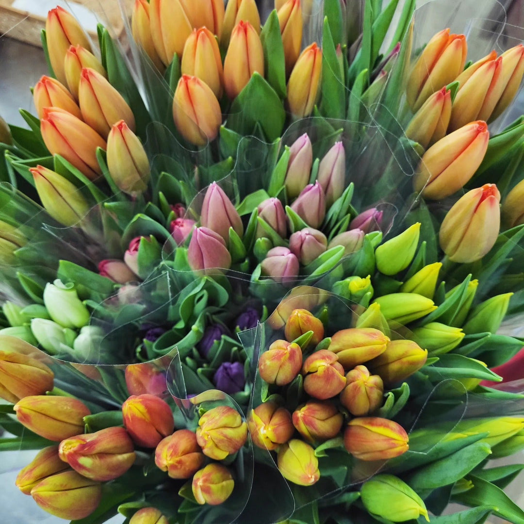 Jarja Floral International