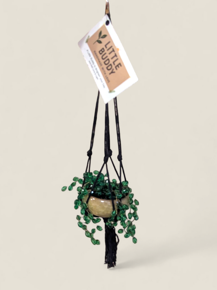 Kristi Scott Art, Jeweled Suncatcher Plants