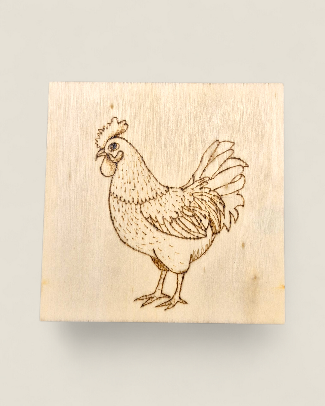 Marked In Wood, Wood Burnt Cork Backed Coasters