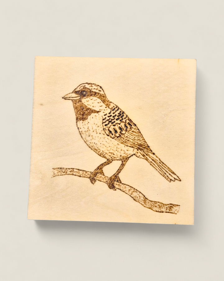 Marked In Wood, Wood Burnt Cork Backed Coasters