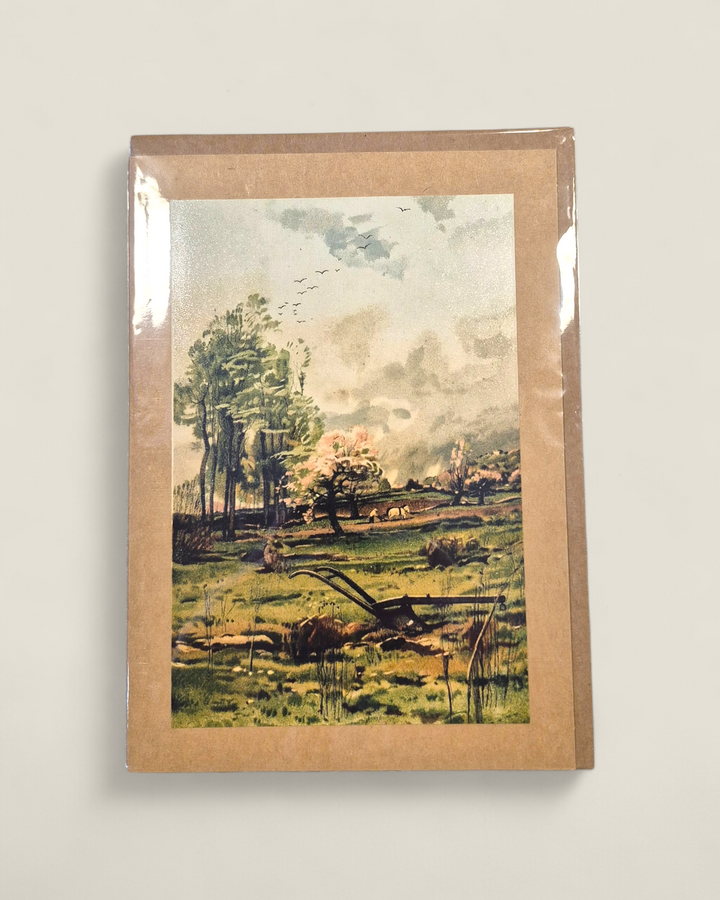 Rosewood Lane, Photography Greeting Cards