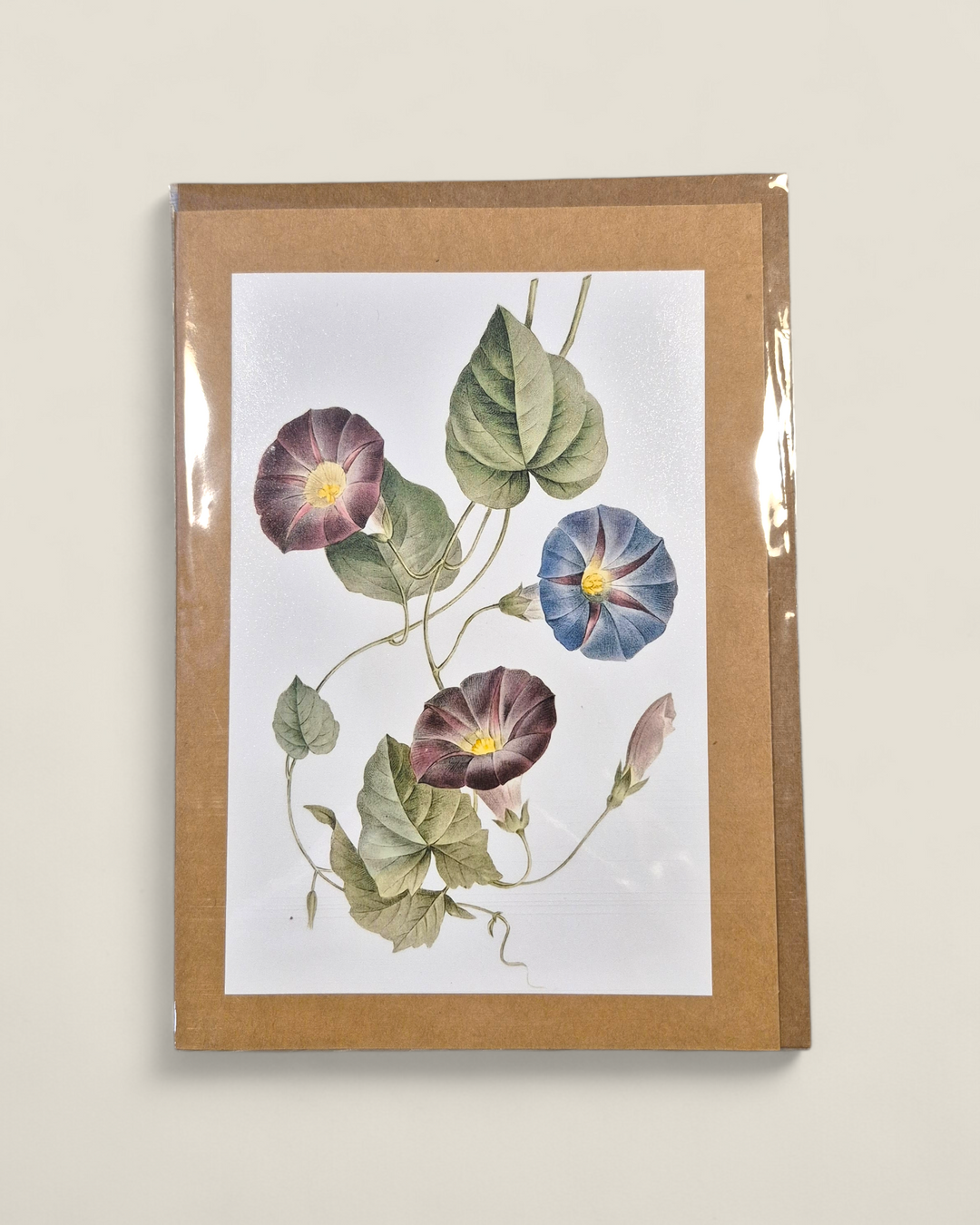 Rosewood Lane, Photography Greeting Cards