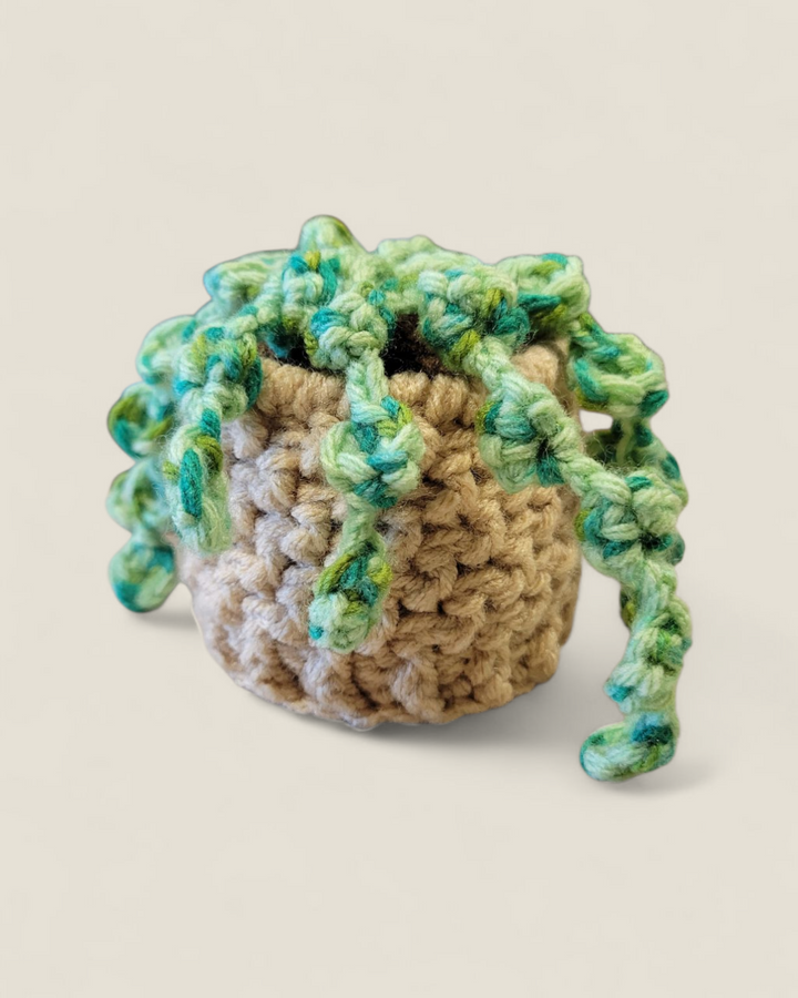 Ginger Made By Jenn, Plant Buddies