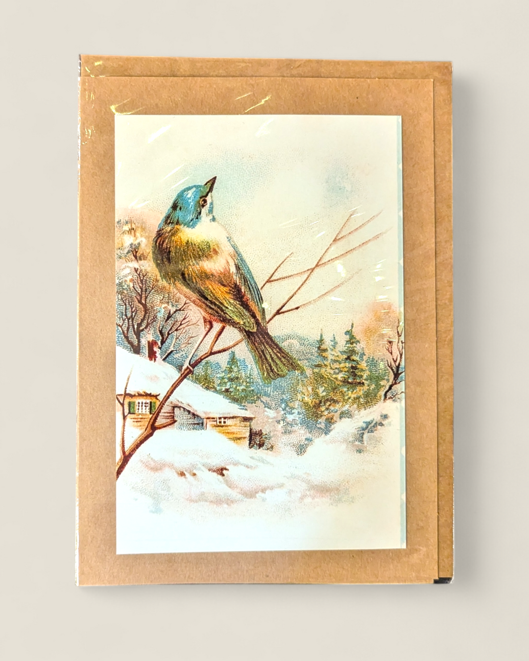 Rosewood Lane, Holiday Photography Greeting Cards