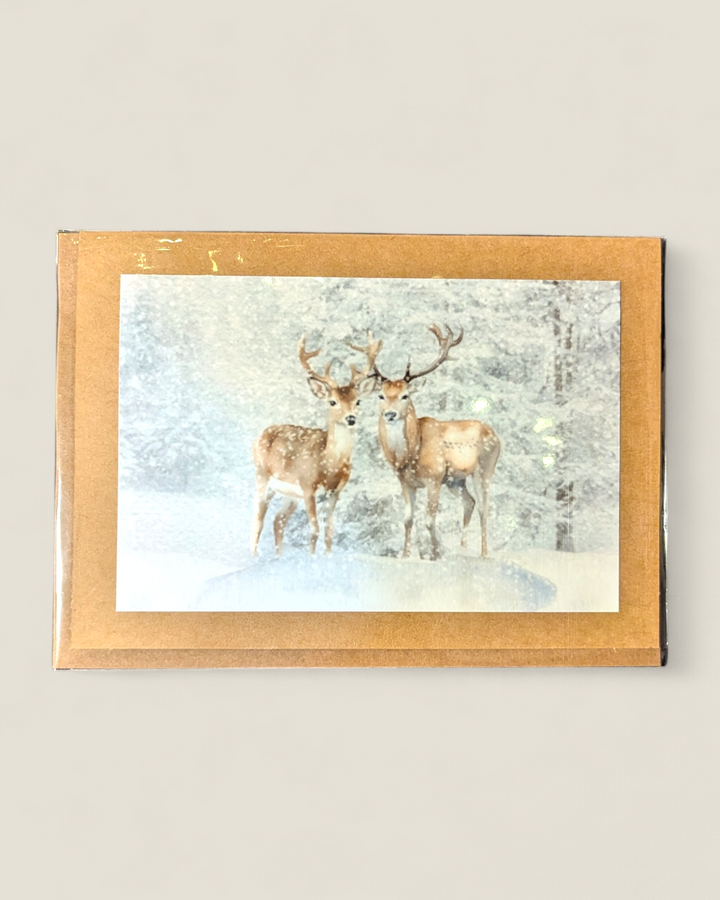 Rosewood Lane, Holiday Photography Greeting Cards