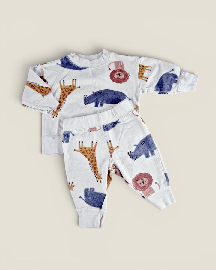 Pre-Loved Carter's Safari Animal Track Suit 3M | Betty’s Marketplace